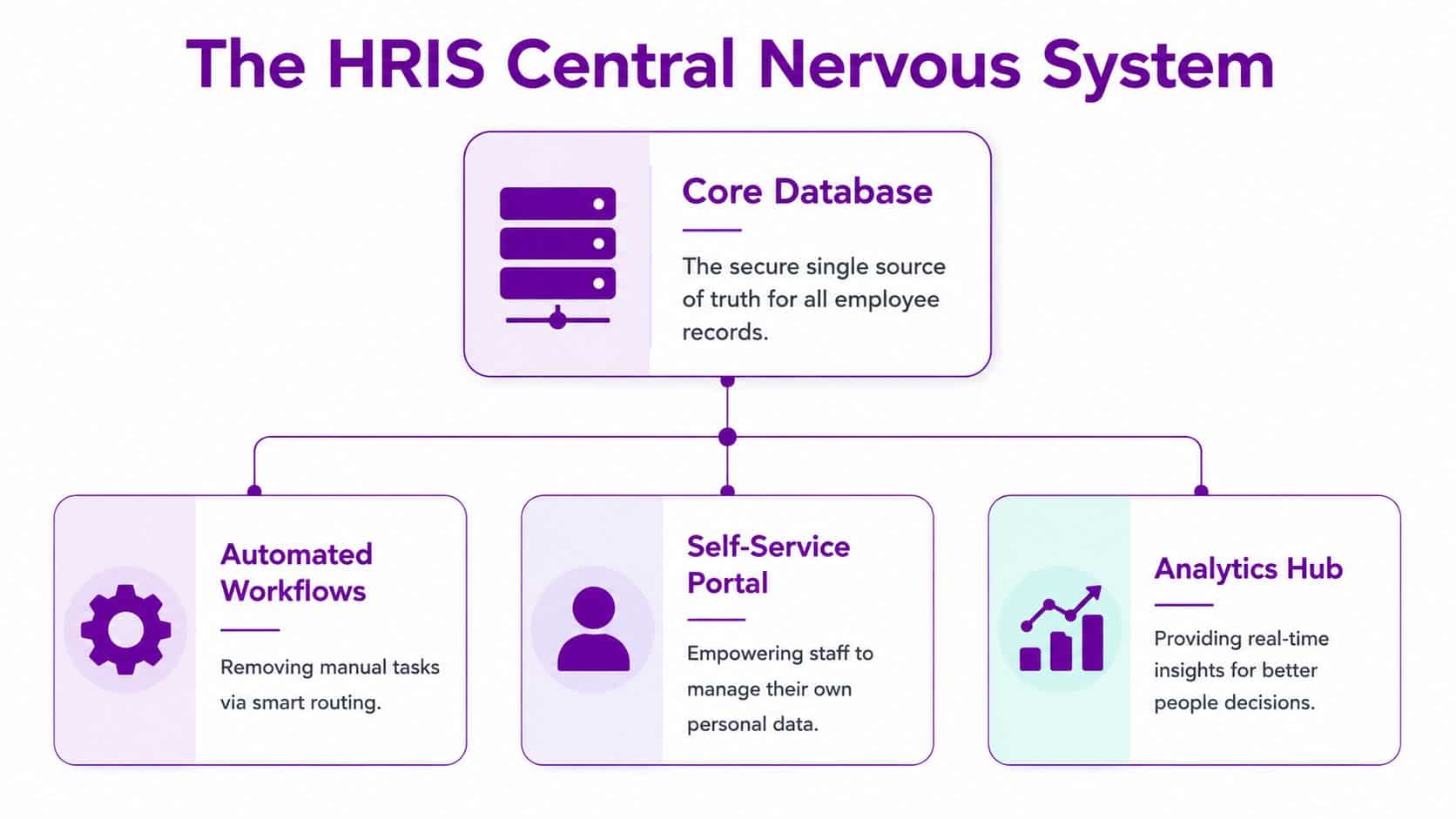 A diagram illustrating the four key components of an HRIS central nervous system for business management.