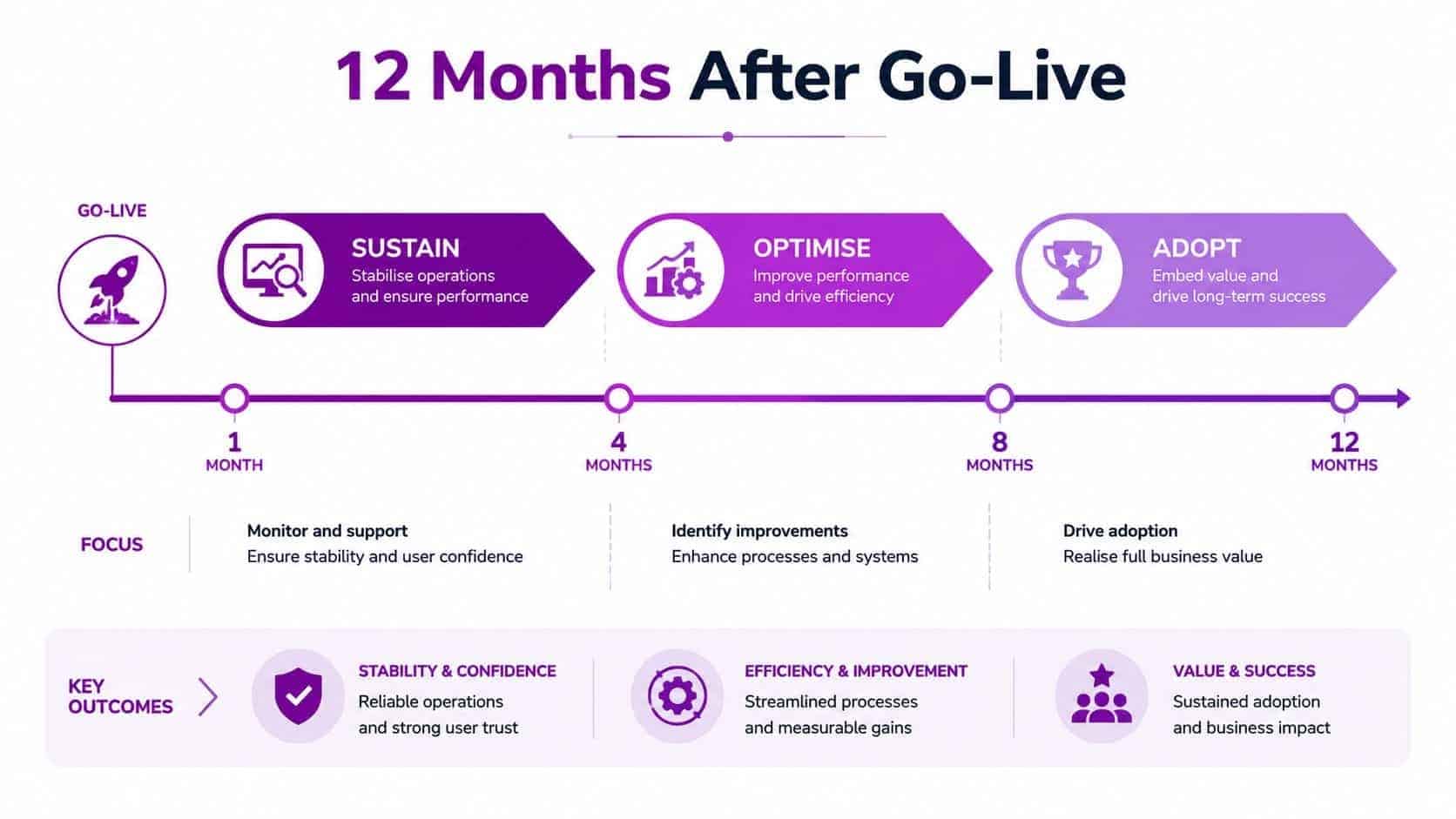 A 12-month post-go-live project roadmap featuring phases for sustain, optimise, and adopt with key outcomes.